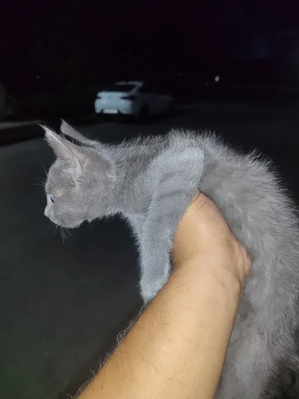 Zotli mushfiq Qoʻqon shaxar 100$ — фото 1