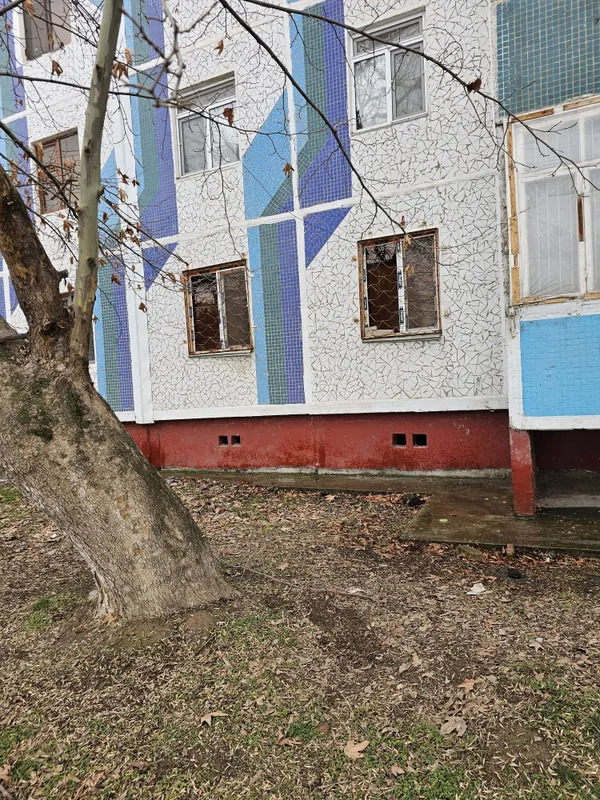 Продаётся 3х. Карвон базар.. — фото 1
