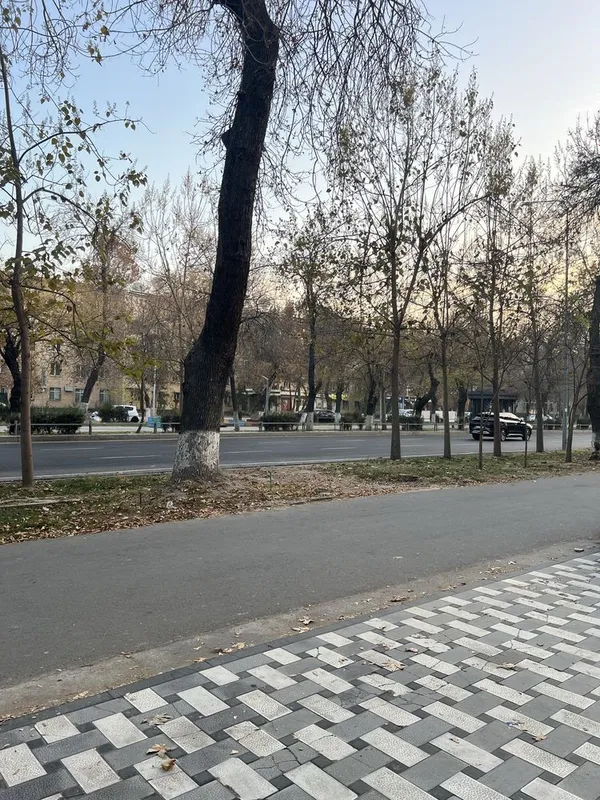 Аренда нежилого помещения без маклера/ Arenda o’zimni joyim — фото 2