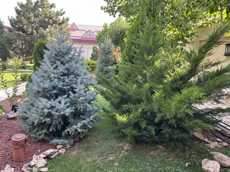 Продается капитальный Дом. элитная махалля Амира Тимура — фото 2