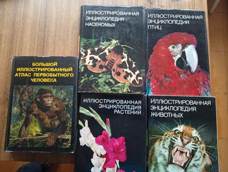 Иллюстрированная детская энциклопедия