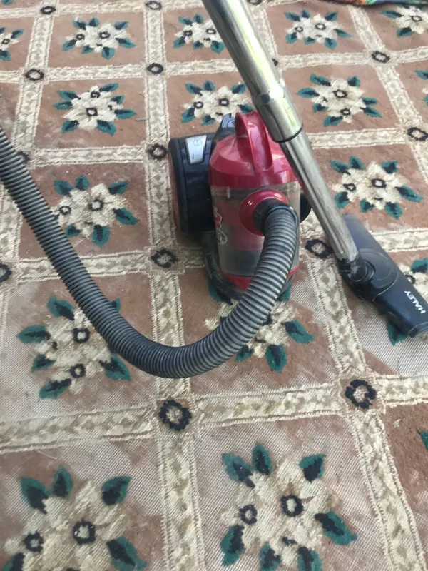 плисос чангйуткич