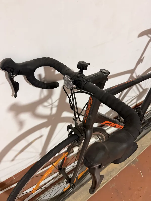 Giant Contend 2