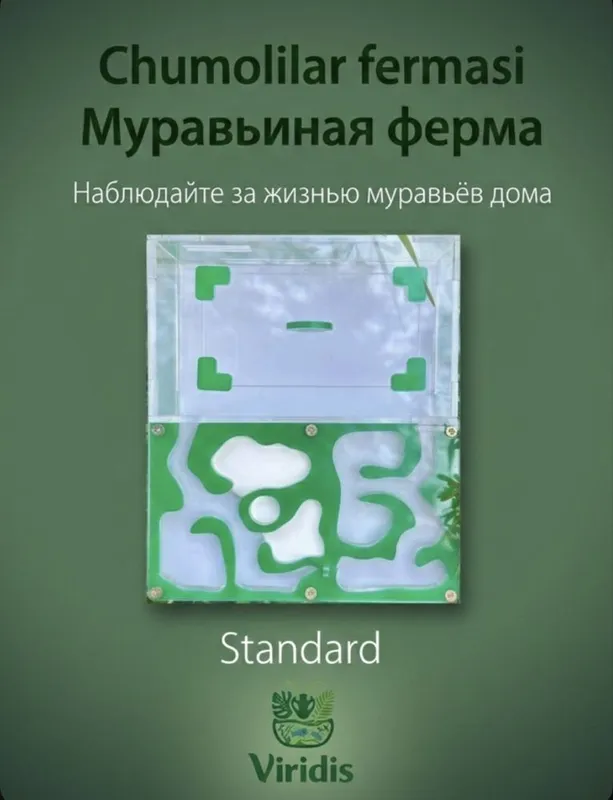Chumolilar Fermasi/Formikariy, Муравьиная ферма/Формикарий