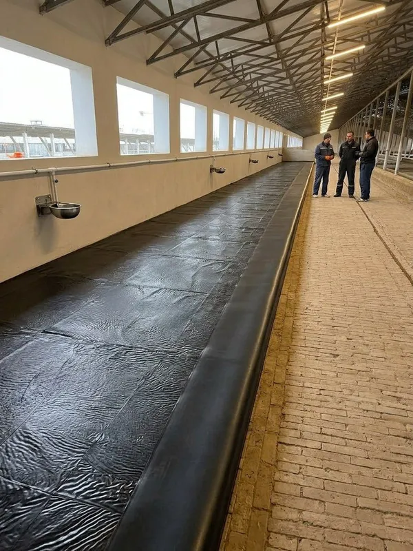 Chorva mollar tagiga nemis rezina matras 2 Chorva mollar tagiga nemis rezina matras 2
