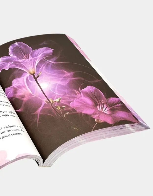 книги 6