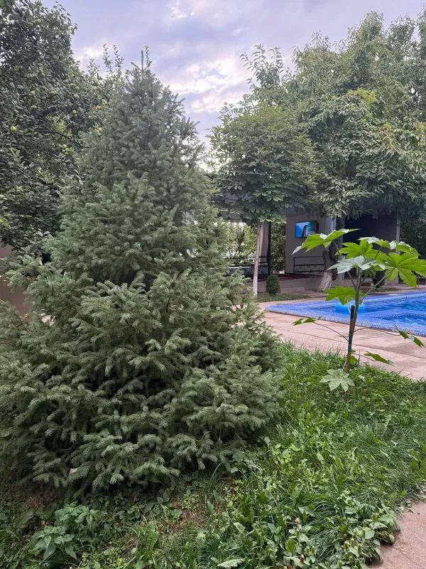 Сдаётся дача в горах Бричмулле, без посредника — фото 7