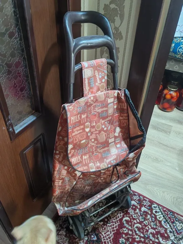 Хозяйственная сумка тележка с колёсами Хозяйственная сумка тележка с колёсами