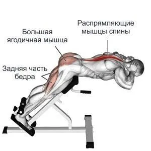 Гиперэкстензия тренажер для спины 1 Гиперэкстензия тренажер для спины 1