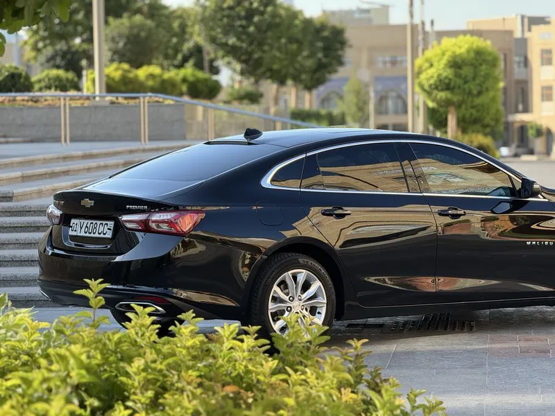 Malibu premier 3