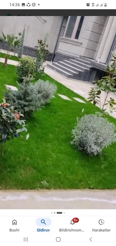 Dekarativniy daraxt va gullar ekib berish xizmati ko'rsatiladi. — фото 3