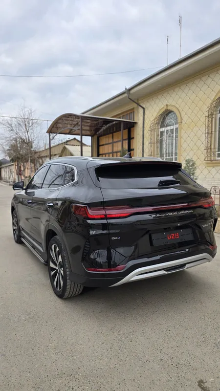 BYD CHampion DM-i — фото 7