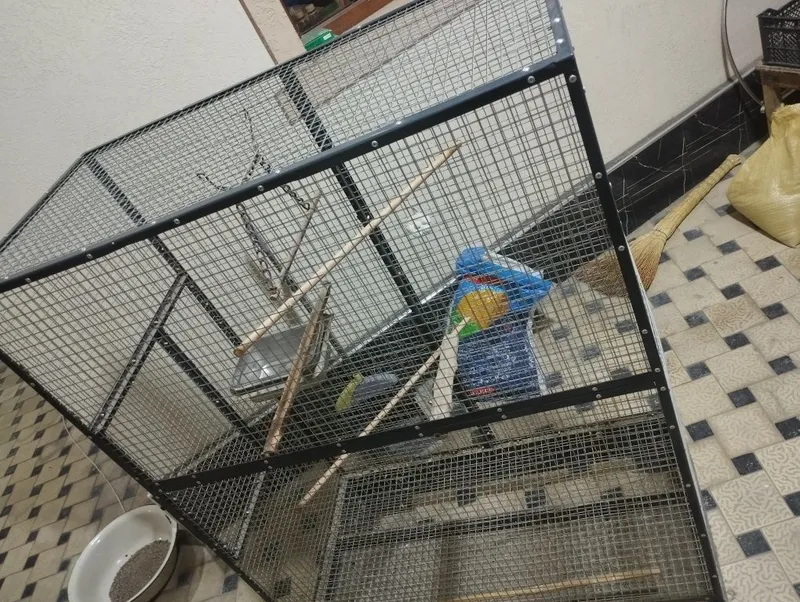 Valer sotiladi holati zor 4 Valer sotiladi holati zor 4