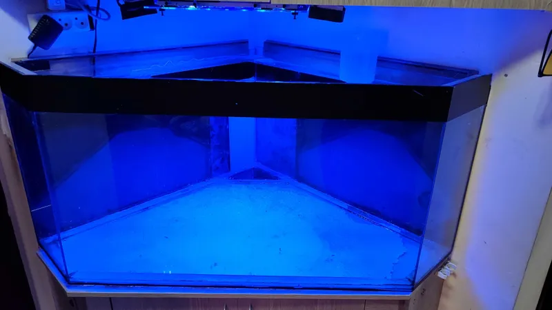 Akvarium 300 litr 2 Akvarium 300 litr 2