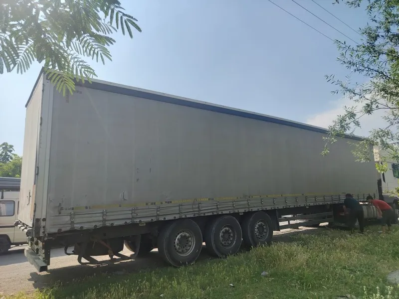 Полпритсеп шимитс — фото 3