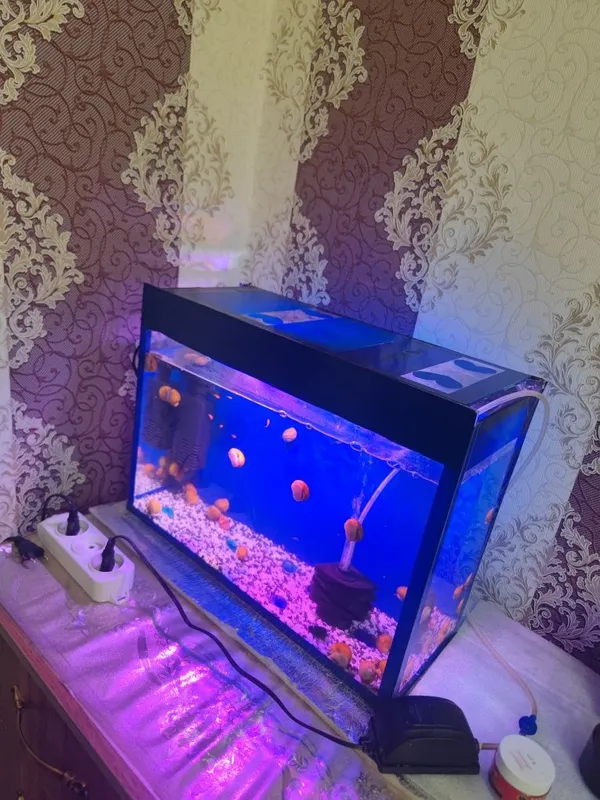 Akvarium komplekt 40Litr — фото 1