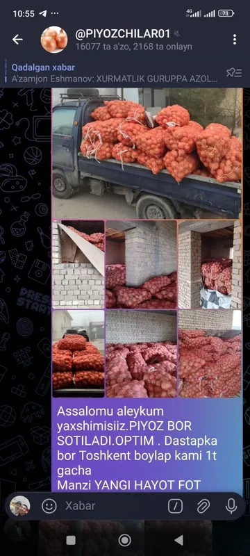 Piyoz sotiladi optim narhta. Manzil toshkent