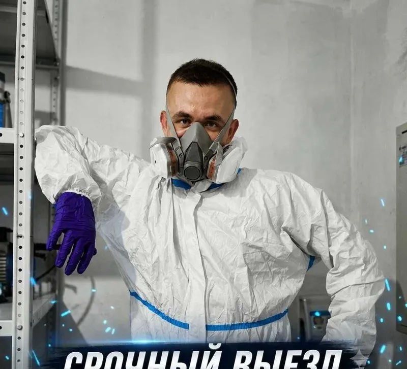 Дезинфекция от клопов | Дезинфекция | Тараканы | Гарантия, Ташкент 1 Дезинфекция от клопов | Дезинфекция | Тараканы | Гарантия, Ташкент 1