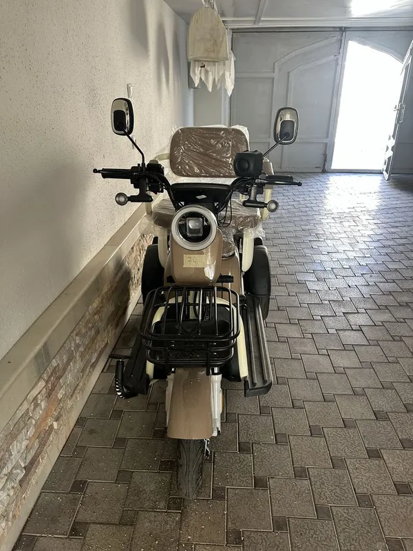 Skuter Skilmax elektro 1