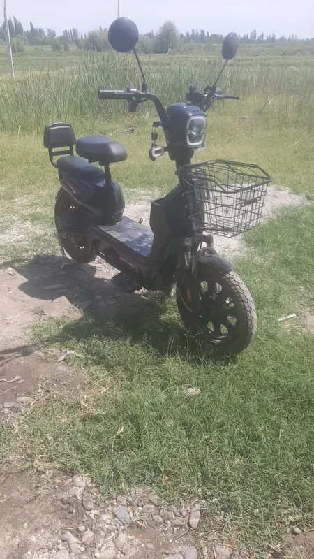 сукутир