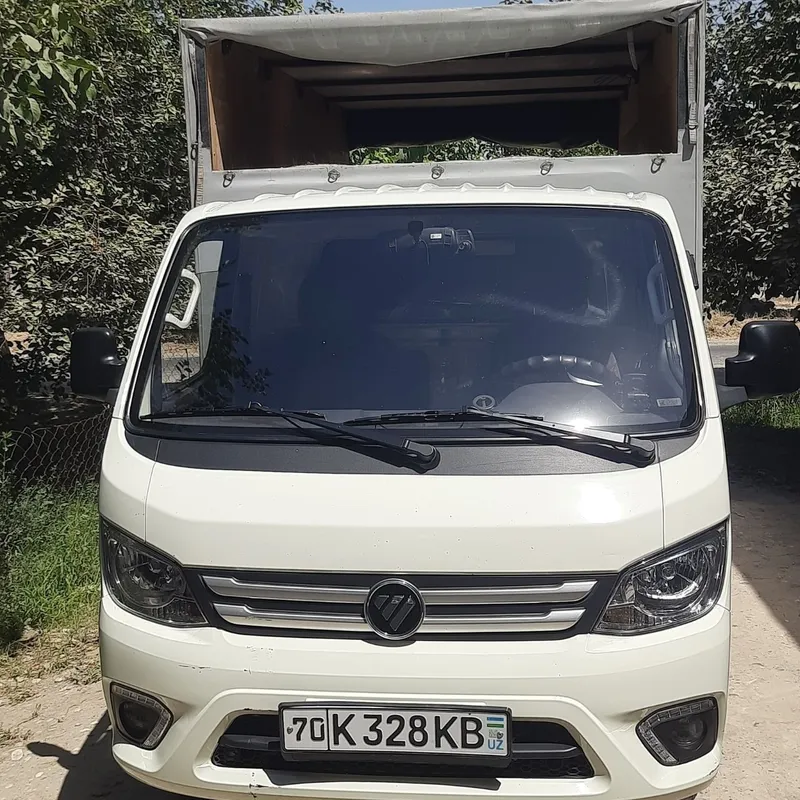 Foton qush balon 8
