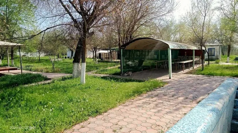 Готовая база отдыха в Сырдарье, 1 га, — фото 2