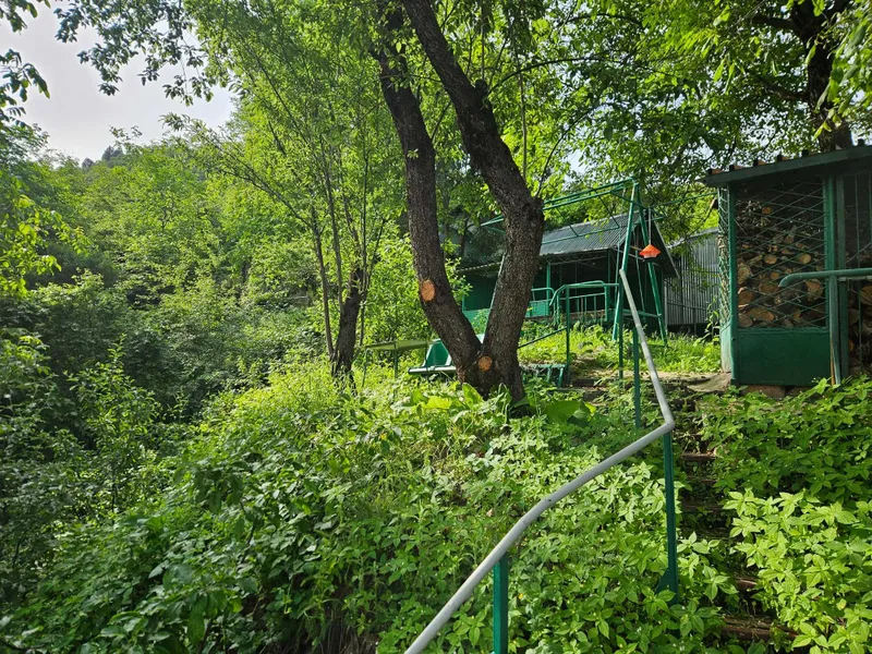 Дача сотилади Амирсой / Продаю свою дачу на Амирсай — фото 1