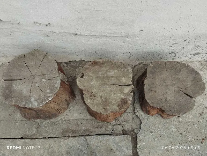 Ствол-тўнка для мясных работ — фото 1