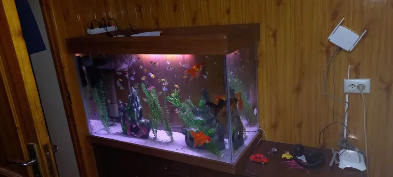 На заказ аквариум, zakazga akvarium yasimiza keliwilgan holda — фото 3