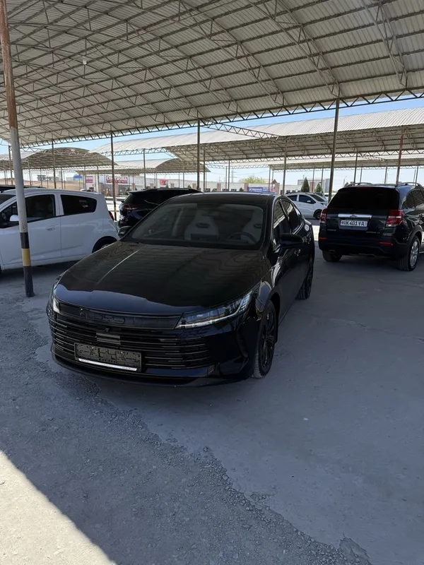 BYD chazor 2023 gibrid