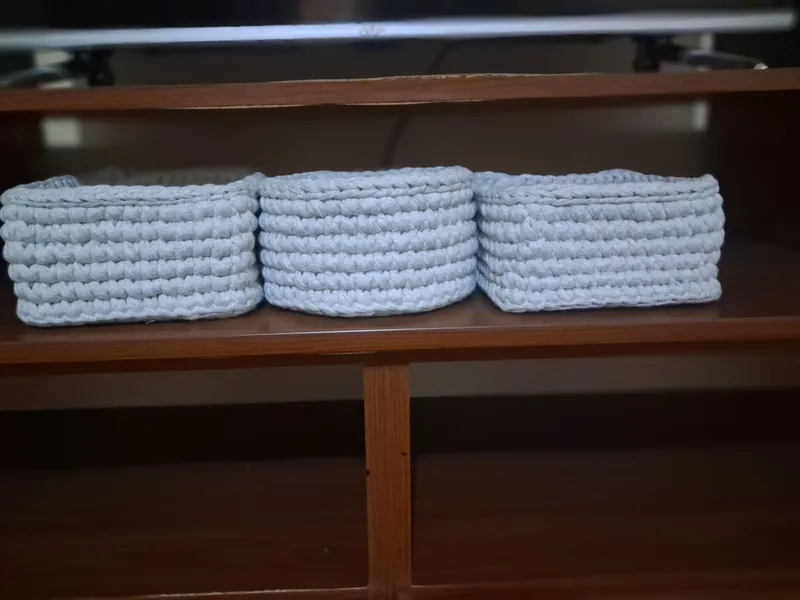 organayzer organayzer
