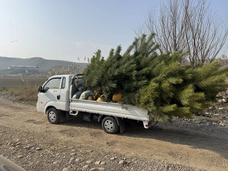 Kia bongo 2023 yil 62000 km tozza moshina tentlari bor — фото 4 Kia bongo 2023 yil 62000 km tozza moshina tentlari bor — фото 4