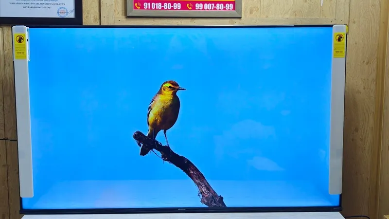 Hisense 55A63H televizori 3