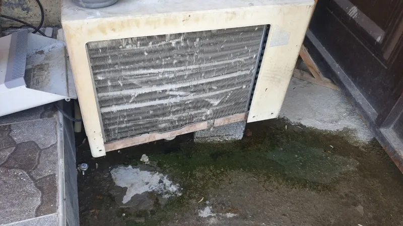 Vetrina xaladilnik bor ishlashi zur kmga kerak bulsa aloqaga — фото 2