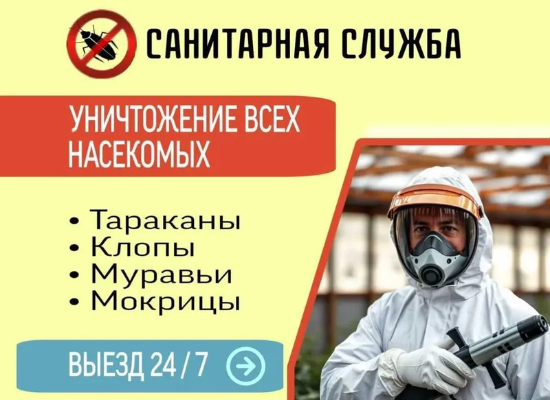 Dizinfeksiya shok narhda дезинфекция дезинсекция dezinfeksiya клопа