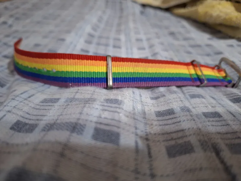 bilaguzuk 1