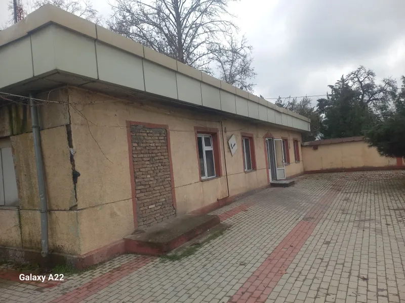Кафе, докон, ошхона — фото 6