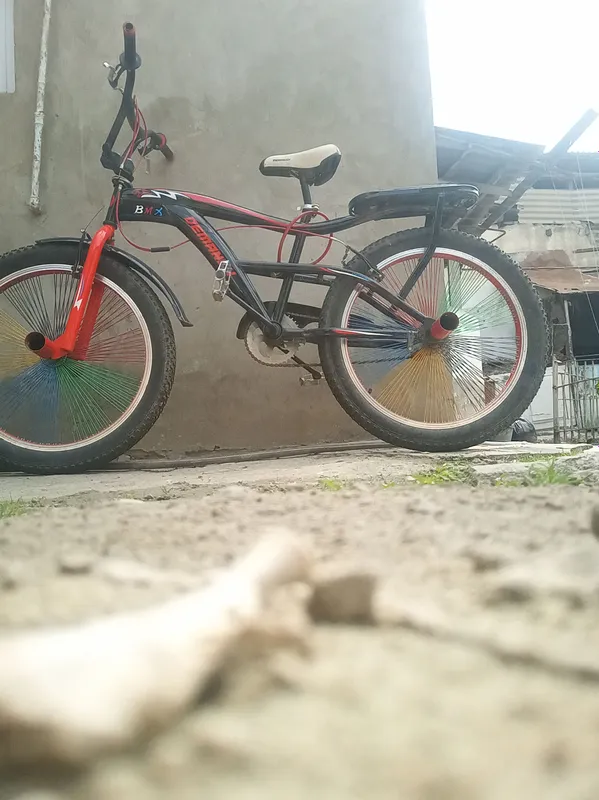 BMX