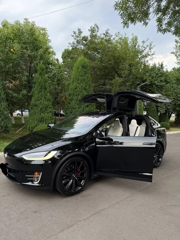 Tesla Model X Perfomance Duall Motor 3