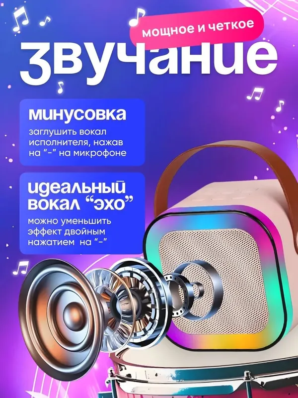 Караоке колонка беспроводная с 2 микрофонами — фото 5