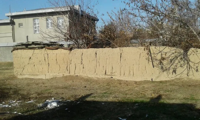 Продажа участка в махалле Ахунбабаев (Охунбобоев) — фото 2