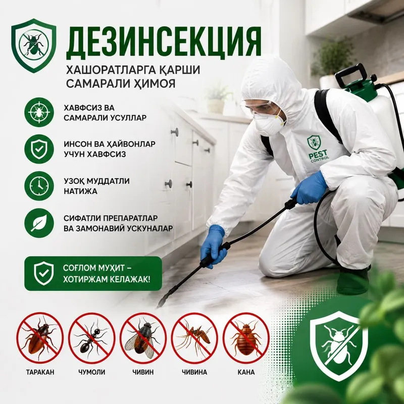 Тараканы, клопы, мухи - комары или крысы дома? Решим за 1 день!