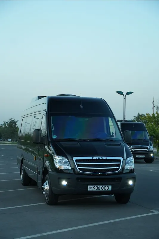 Микроавтобус. Транспорт. Higer . Mersedes sprinter. Заказ. На заказ. 2