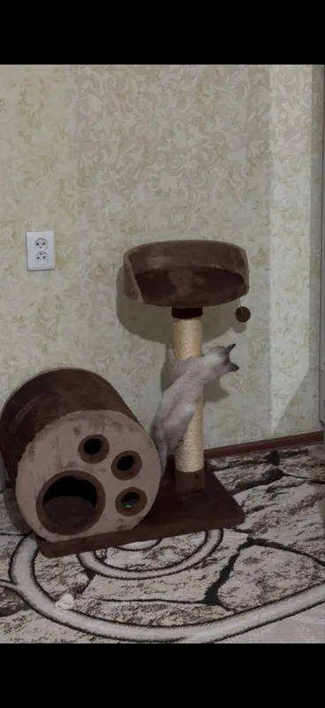 Домик для кошки большой 2 Домик для кошки большой 2