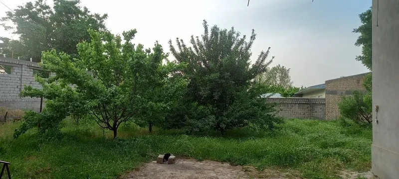 Уй сотилади 6 сот 5