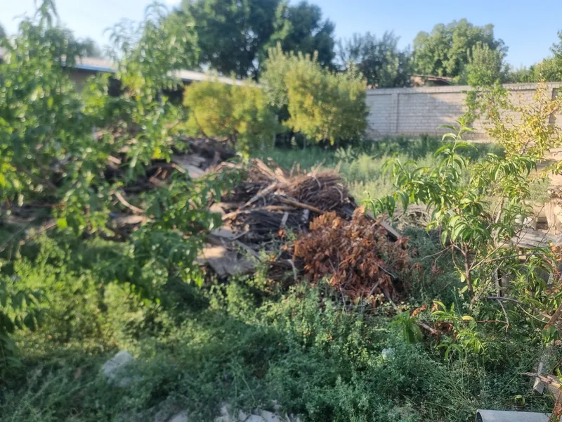 Otinlar bor kimaga kere bosa tel qilila 6