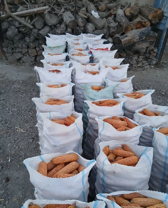 Juhori soʻtasi bilan 5 Juhori soʻtasi bilan 5