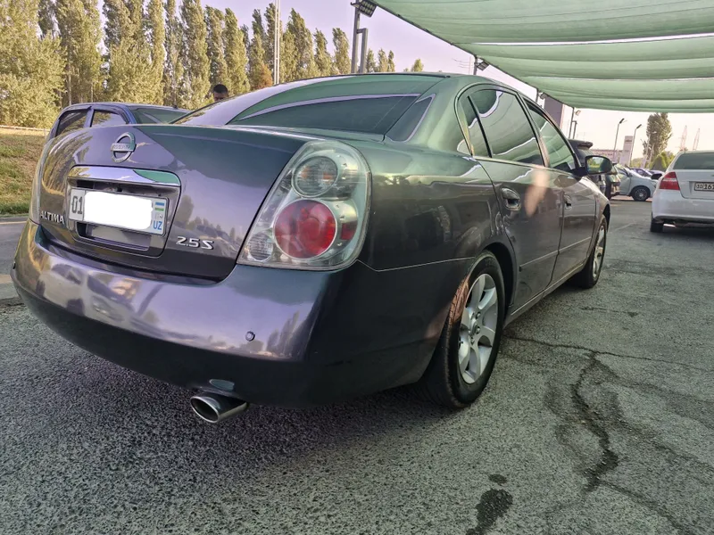 Nissan Altima L31 2005 2 Nissan Altima L31 2005 2