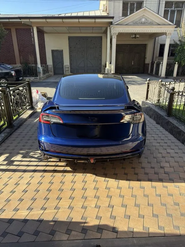 Tesla Model 3 Performance | 2020 2 Tesla Model 3 Performance | 2020 2