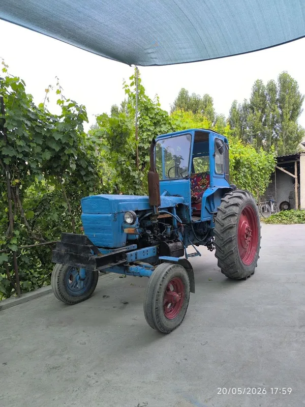 T 28 holati alo kami bor